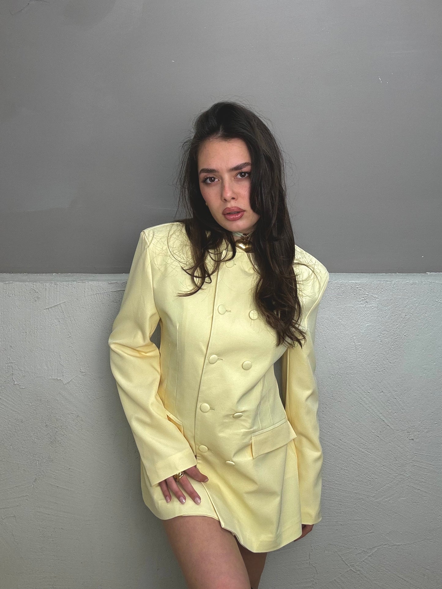 Blazer Diana