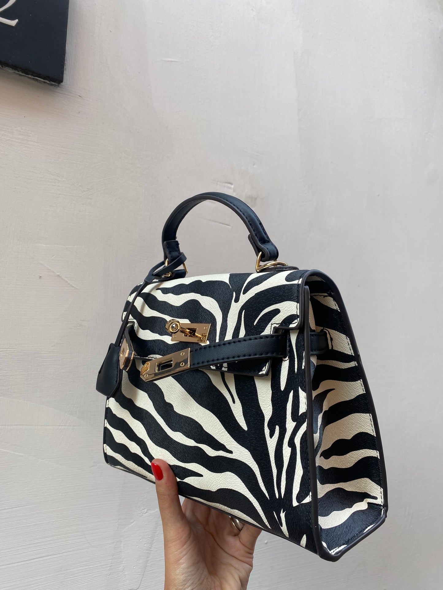 Kelly zebra 🦓