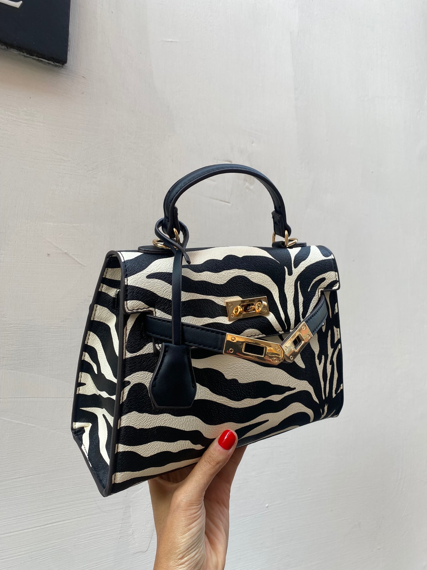 Kelly zebra 🦓