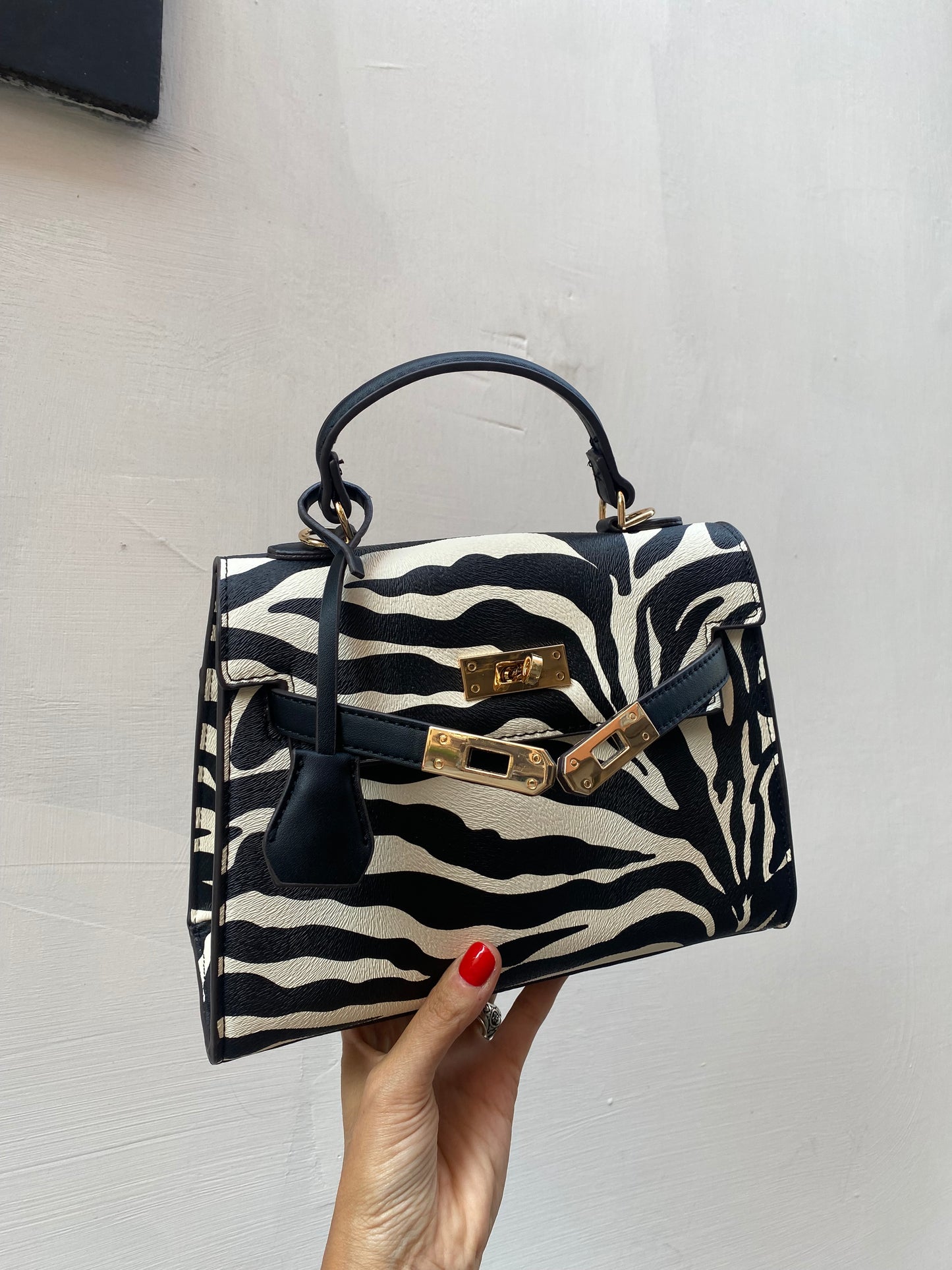 Kelly zebra 🦓