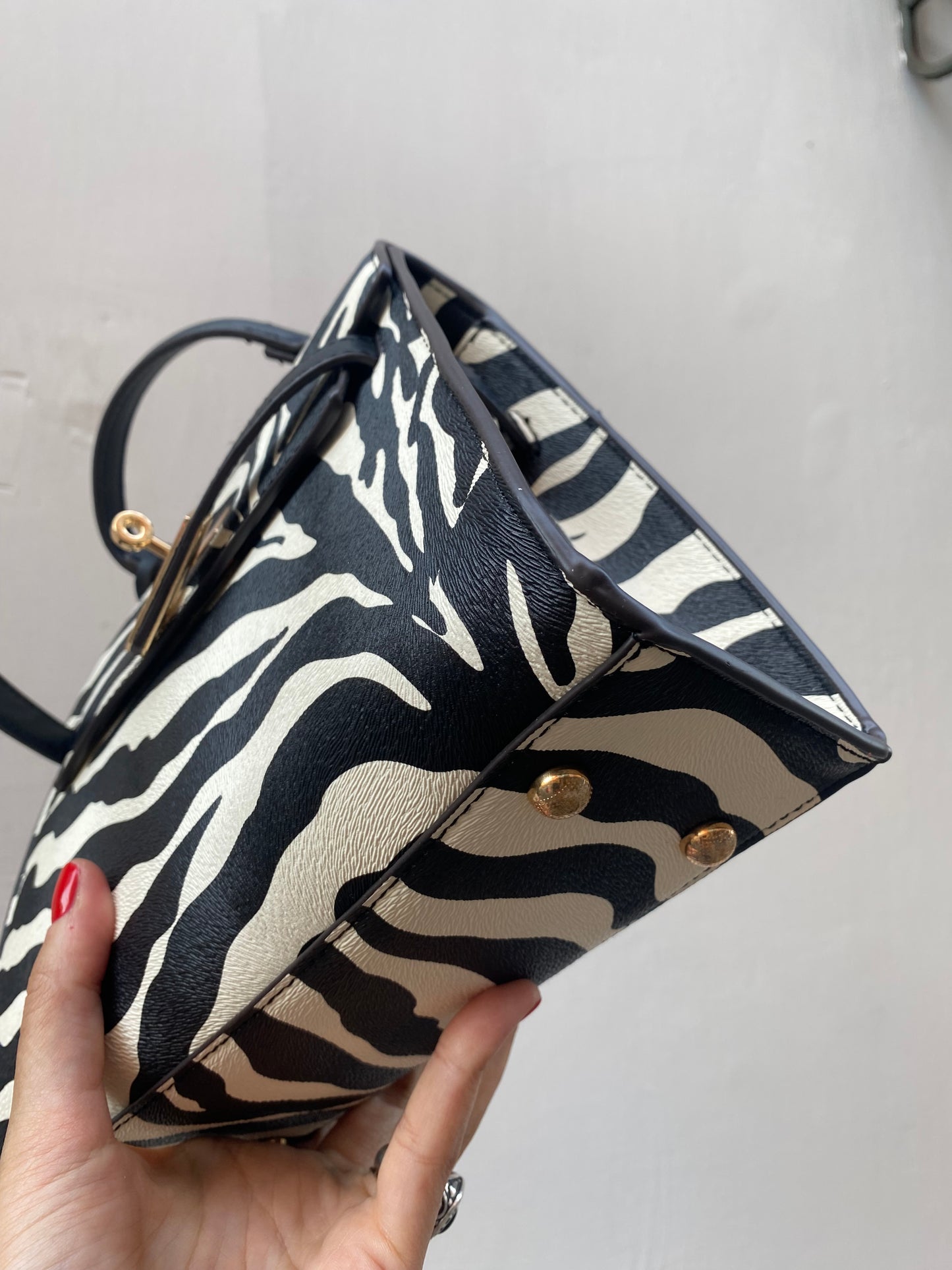 Kelly zebra 🦓