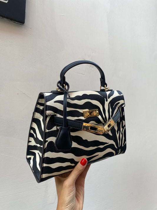 Kelly zebra 🦓
