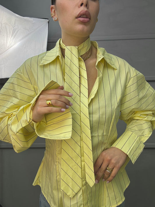 Camicia Gessata
